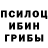 Галлюциногенные грибы Psilocybe EJSPV JSUPV