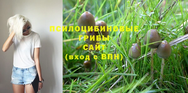 каннабис Алзамай