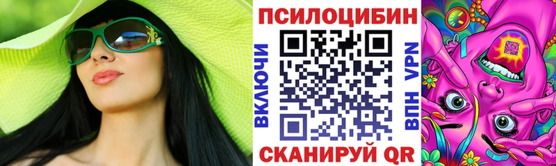 Галлюциногенные грибы Psilocybe  Усть-Лабинск 